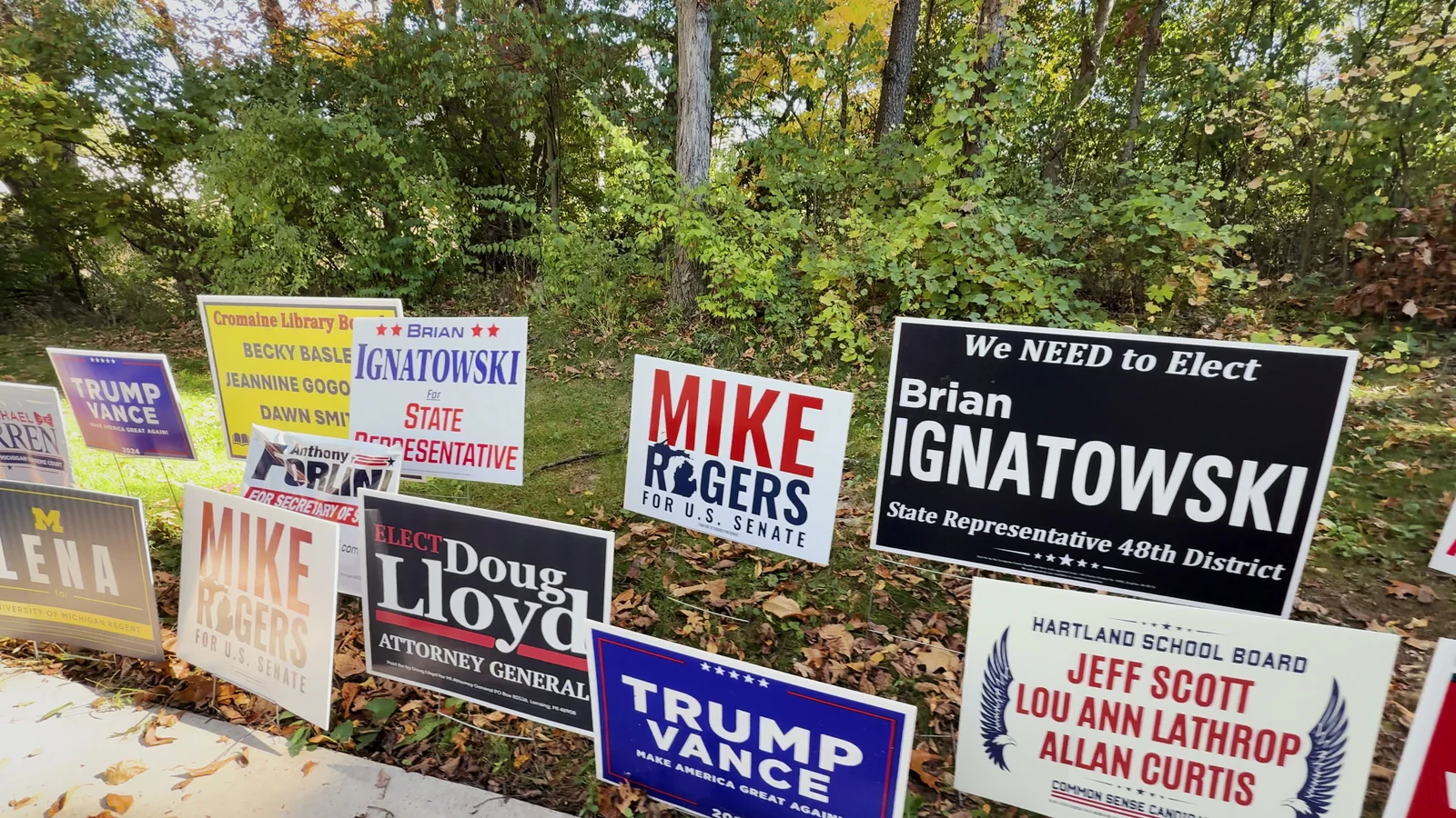 Livingston County campaign-sign collection